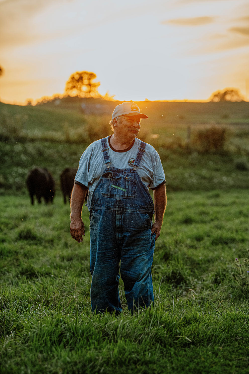 farmer gary welsh on his farm with cattle in the background